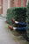 Woman in urban setting, legs coming out of green bushes, wearing blue jeans and brown North Pacific handmade leather shoes by Aurora Shoe Co.