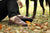 Woman sitting on grass in fall, wearing brown Aurora Shoe Co. Middle English handmade leather shoes - dog in background.