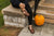 Woman sitting on stone wall, next to pumpkin in Fall, wearing black pants, black sweater, and Brown T-strap Aurora Shoe Co. handmade leather shoes.