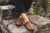 Woman sitting on stone wall with plants growing around, wearing black cutoff jeans and Aurora Shoe Co. Olive Middle English Handmade Leather Shoes.